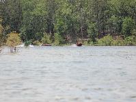 IMG_8793.jpg