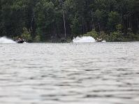 IMG_8947.jpg