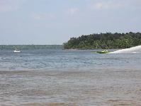 IMG_2961.jpg