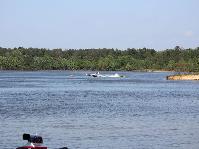 IMG_1867.jpg