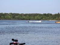 IMG_1868.jpg