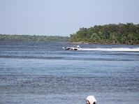 IMG_1874.jpg