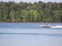 IMG_1943.jpg