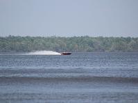 IMG_1718.jpg