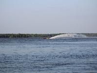 IMG_2048.jpg