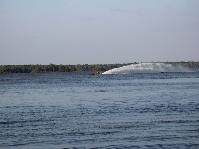 IMG_2049.jpg