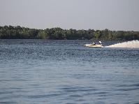 IMG_2087.jpg