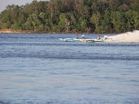 IMG_2096.jpg