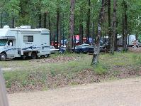 IMG_2126.jpg