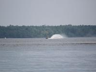 IMG_2137.jpg