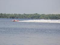 IMG_2175.jpg