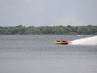 IMG_2262.jpg