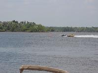 IMG_2369.jpg
