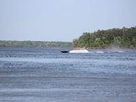 IMG_1780.jpg