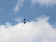 IMG_2495.jpg