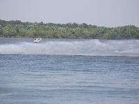 IMG_2613.jpg