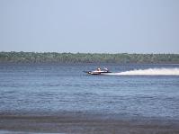 IMG_1817.jpg