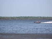 IMG_1818.jpg