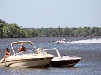 IMG_1831.jpg