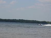IMG_2887.jpg
