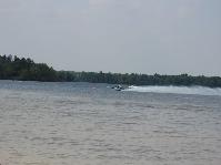 IMG_2895.jpg