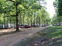 IMG_7537.jpg