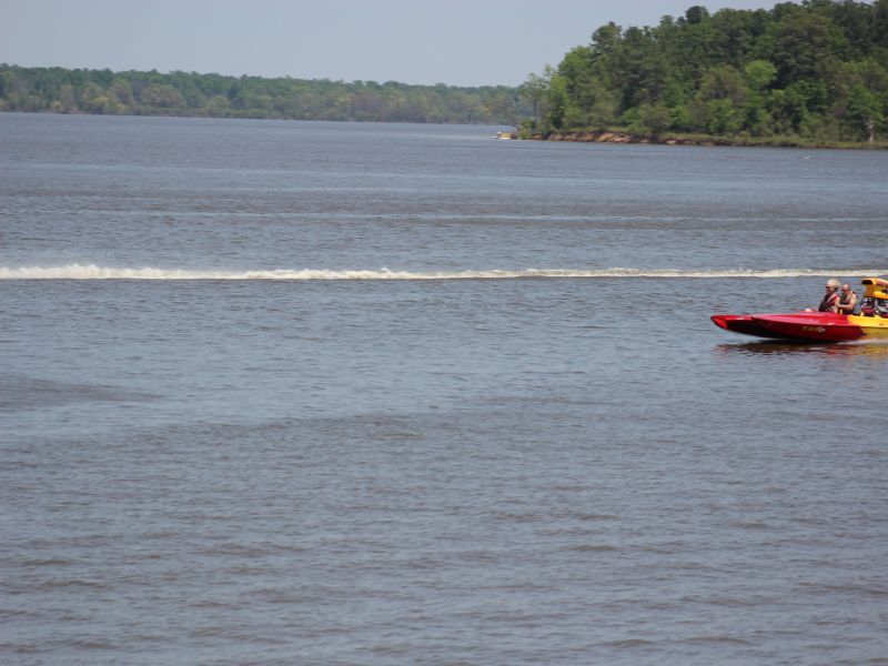 IMG_8550.jpg