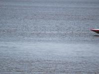 IMG_8492.jpg
