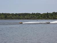 IMG_8529.jpg