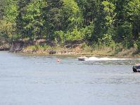 IMG_8950.jpg