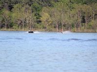 IMG_8265.jpg