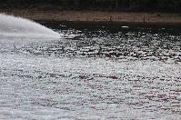 IMG_9889.JPG