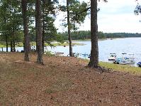 IMG_1799.jpg