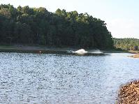IMG_1599.jpg