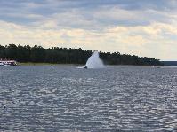 IMG_1901.jpg