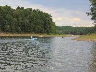 IMG_1919.jpg