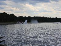 IMG_1945.jpg