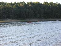 IMG_1631.jpg