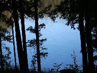 IMG_8975.jpg