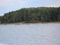 IMG_9103.jpg