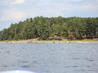 IMG_9108.jpg