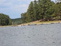 IMG_9110.jpg