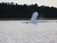 IMG_9245.jpg