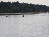 IMG_9436.JPG