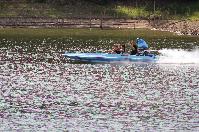 IMG_9547.JPG