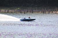 IMG_9661.JPG