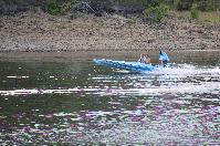 IMG_9683.JPG