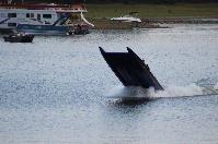 IMG_9690.JPG