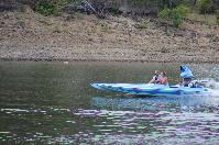 IMG_9695.JPG