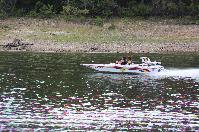 IMG_9730.JPG